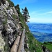 Giesigrat. Pour courir mieux vaut aller ailleurs. 