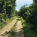 Nicht immer erfolgt der Abstieg in der Sonne.