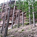 Am obersten Erfweiler Sattelfelsen kann man neben dem Felsen auf einer Trittspur aufsteigen und gelangt dann auf die Höhe.