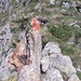 Selletta del passaggio chiave a monte del gendarme