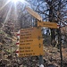 nun geht es hinauf