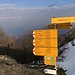 Abendsonne auf dem Gratweg