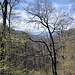 es grünt der Frühling