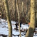 nun der schwierige Aufstieg durch den Schatten- und Schneehang
