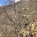 schöner Höhenweg bei der Alpe Fontanella