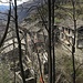 oberhalb des Dorfes beginnt gleich wieder der Wald
