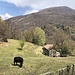 Blick zurück zum Monte Rogoria