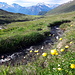 der Beginn unserer Suonenwanderung