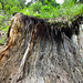 Erosion