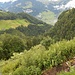 Bueholzbachtobel