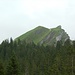 Schinberg