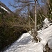 nei pressi di Gandascia, dove inizia la neve