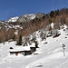 Alpe Valle di sopra e ingresso nel bosco a destra