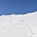 i dolci pendii sopra l'Alpe Piodella