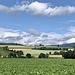 auf der Plaine de l'Orbe zwischen La Sarraz und Chavornay
