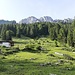 Rückblick von der Steinberg-Alm