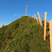 Da noch Zeit blieb, besuchte ich noch das Buochserhorn. 