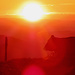 Auch die Kühe genossen den sonnigen Abend.