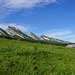 Schöner Blick auf die Churfirsten-Zähne von der Alp Selamatt