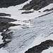 Und am unteren Ende des Gletschers erfrischt sich eine Herde Rentiere.