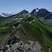 Gipfelaussicht vom Tierlaufhore über den oberen SE-Grat zu Gurbsgrat und Cheibehore: rechts Schattigi Schibe und Männliflue, links Fründehorn, Blüemlisalp, Breithorn, Aletschhorn, Gspaltenhorn und Mittaghorn
