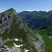 Gipfelaussicht vom Tierlaufhore nach NE zum Wiriehore und zum vorderen Niesengrat zwischen Hohniese und Drunegalm über Gurbs Metteberg