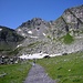 Wildseehorn