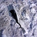 Mini Gletscherspalte