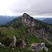 Laubeneck