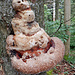 Rumpelstilzchen Baumpilz :-D