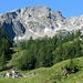 Alpe di Sfii con il Pizzo del Lago Gelato alle spalle