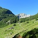I prati dell' Alpe di Sfii.<br />Non la si ragginge, pochi metri da qui si gira a sinistra verso il torrente