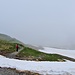 Verloren im Nebel