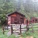 Nette Alp