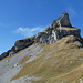 ... sowie Hochblick zum kecken Vorgipfel des Alpler Horns