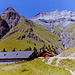 Alp Pradgiant