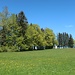 Weiterweg zur Wies: Oberhalb des Ilberger Waldes