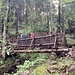 unmittelbar nach dem Parkplatz leitet eine Spur hoch und überquert den Seitenbach des Fallbaches über diese originelle Brücke ...