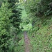 Schöner Wanderweg ob dem Trittwald