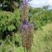 Familie Flora trägt heute eine fesche Frisur.