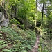 Aufstieg aus dem Lützeltal entlang der Gemeindegrenze.<br /><br /><br />