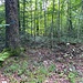 Höchster Punkt, vom Schleifweg aus gesehen.<br /><br /><br />