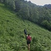 attraversiamo la selva