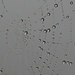 Wassertröpfchen auf einem Spinnennetz unter dem Breitenberg<br />Gocce d'acqua su una ragnatela sotto il Breitenberg