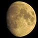 Der beste Mond, den wir haben / la ottima luna che abbiamo