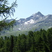 Piz da la Margna