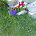 foto floreali di Piunuccia dei fiori nel paesino di Grevasalvas