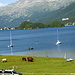 ormai siamo a......lago