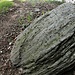 Micascisto a granati. Masso erratico di probabile origine orobica.
