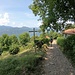 Saioli